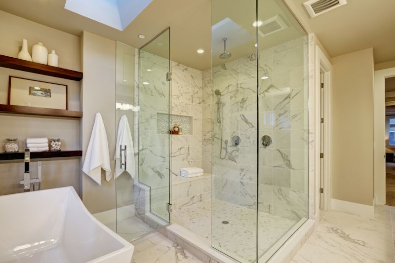 Clean and Elegant Shower